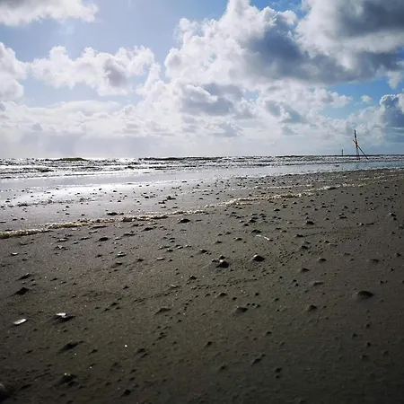 6 Person In Casa vacanze Blåvand