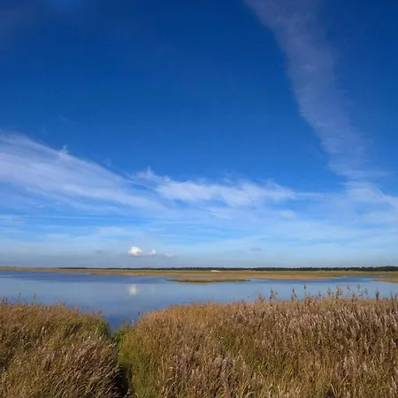 6 Person In Blåvand