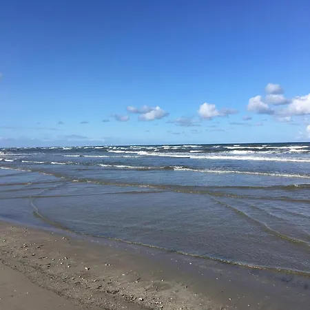 6 Person In Blåvand